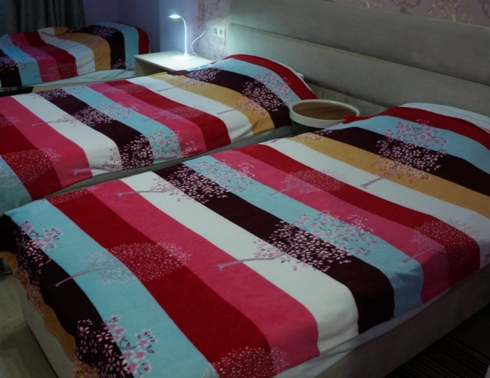 Номер стандарт семейный с 2 односпальными кроватями (с полупансионом) - Отель «Лаванда» Гагра